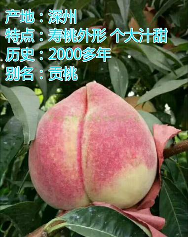 岳家蜜桃