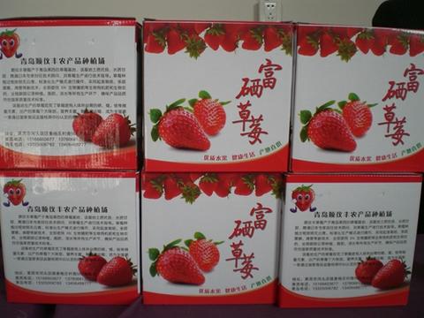 姜格庄草莓