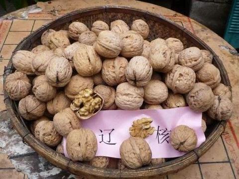 石墙薄皮核桃
