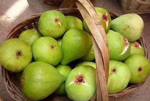 荣成无花果