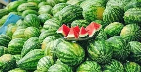 双堠西瓜