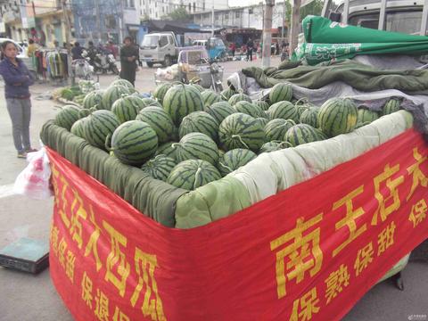 南王店西瓜