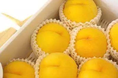 高碑店黄桃