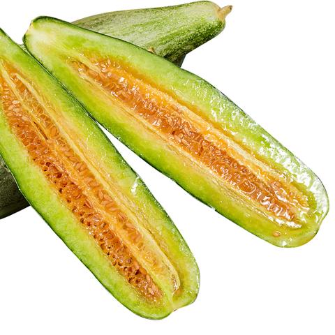 饶阳甜瓜