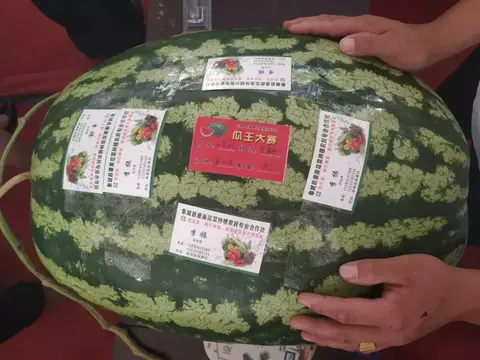 漫河西瓜
