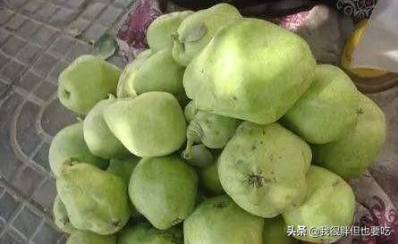 喀喇沁苹果梨