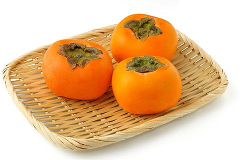 北景柿子