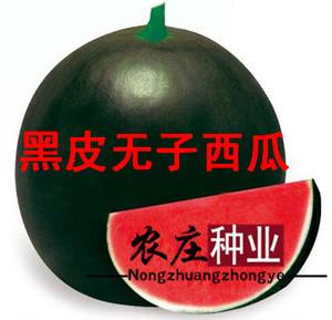 黑肯友谊西瓜
