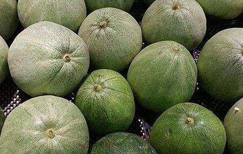柳河香瓜