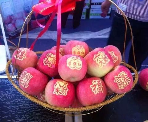 辽中寒富苹果