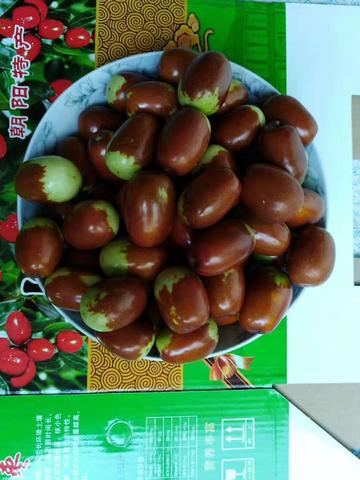 葫芦岛大红枣