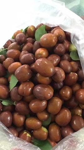 阎良相枣