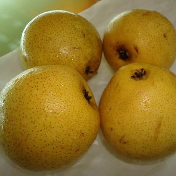 大庙香水梨