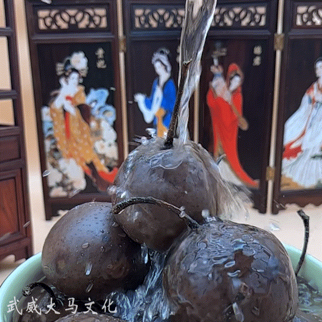 武威酿酒葡萄
