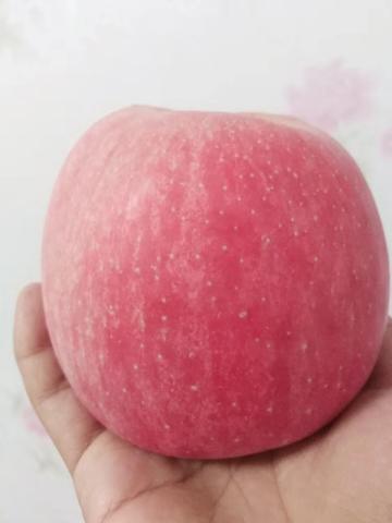 正宁苹果
