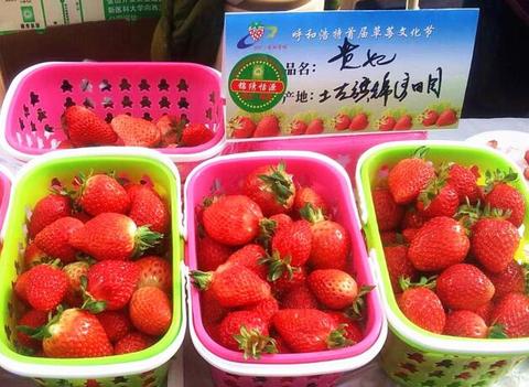 互助草莓