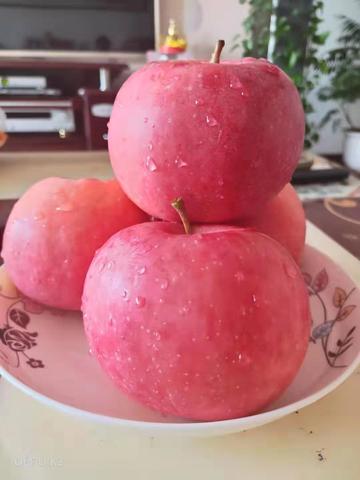 扁担沟苹果