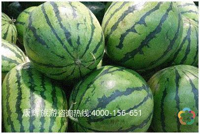 青铜峡西瓜