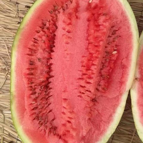 中卫硒砂瓜