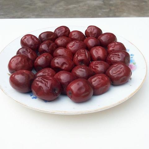 中宁圆枣