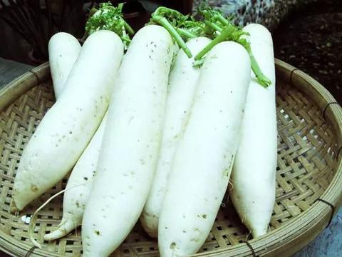 甜水萝卜