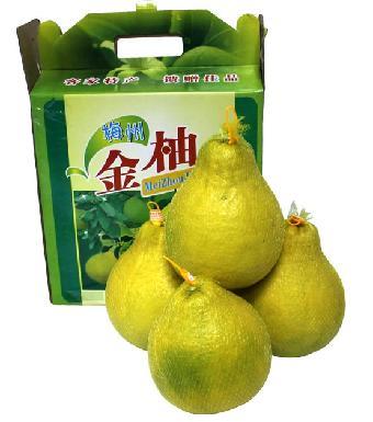 梅县金柚