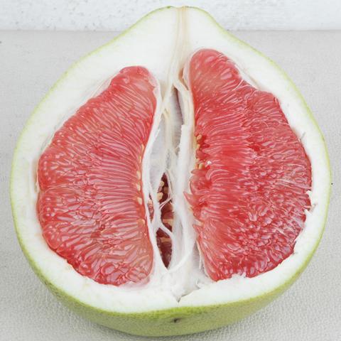 大埔蜜柚