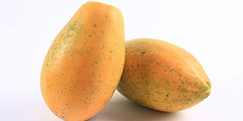 陆河木瓜