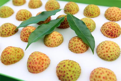 东莞荔枝