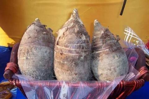刘圩香芋