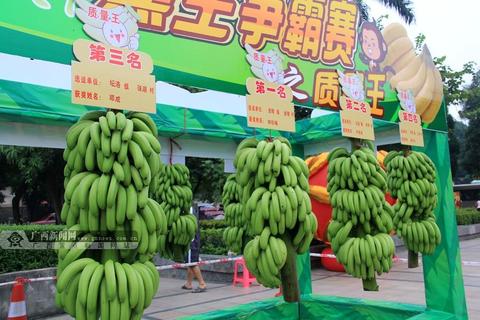 南宁市香蕉