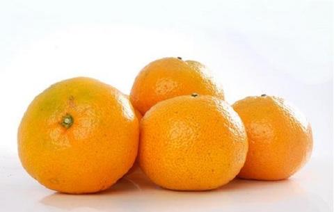 柳城蜜桔