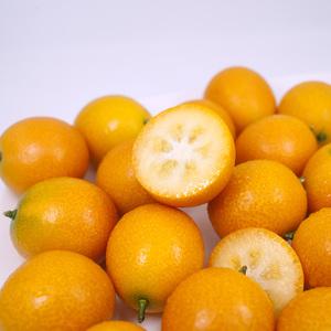 融安金桔