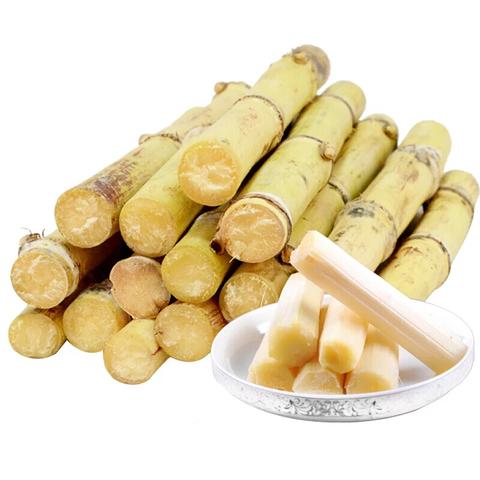 木格白玉蔗