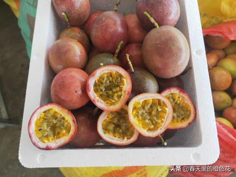 北流百香果