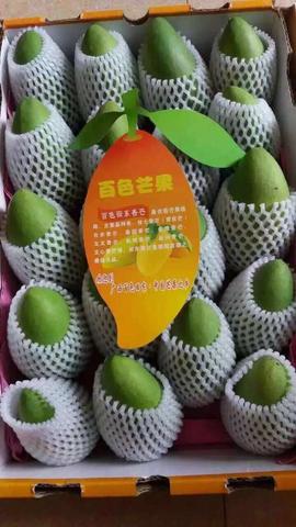 百色芒果