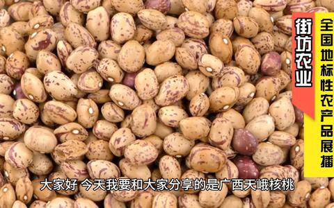 天峨核桃