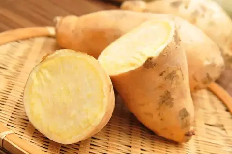 长乐番薯