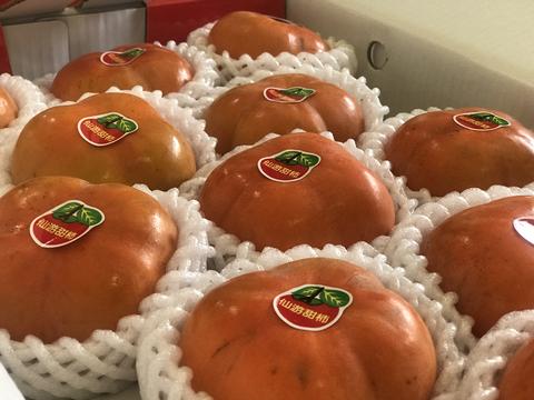 仙游甜柿