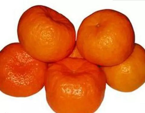 南靖芦柑