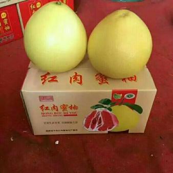 平和琯溪蜜柚