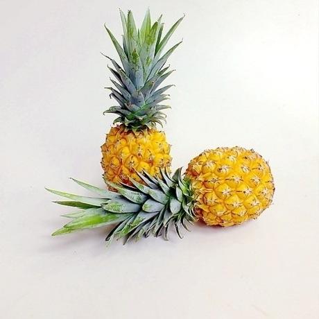 程溪菠萝
