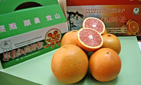 顺昌红肉脐橙