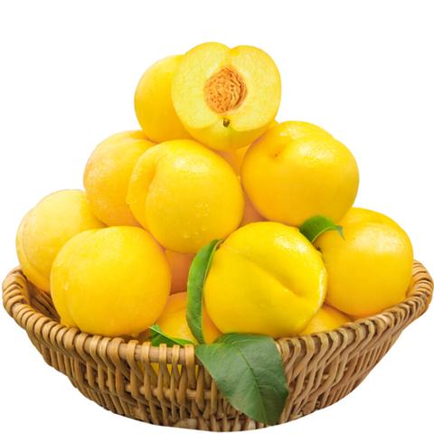 三元油桃