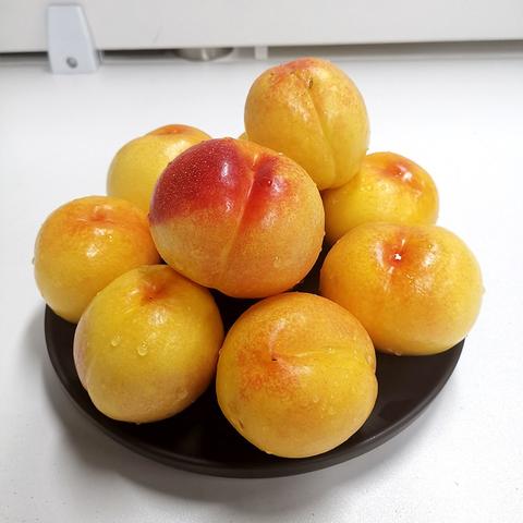 三元油桃