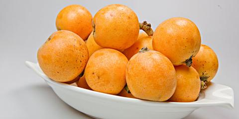 新桥枇杷