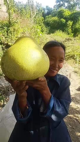 中江柚