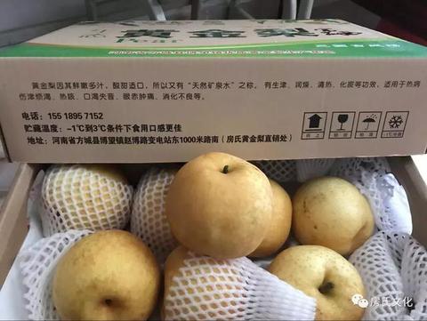 安居黄金梨