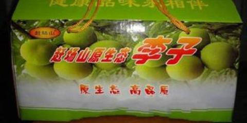 江安大白李