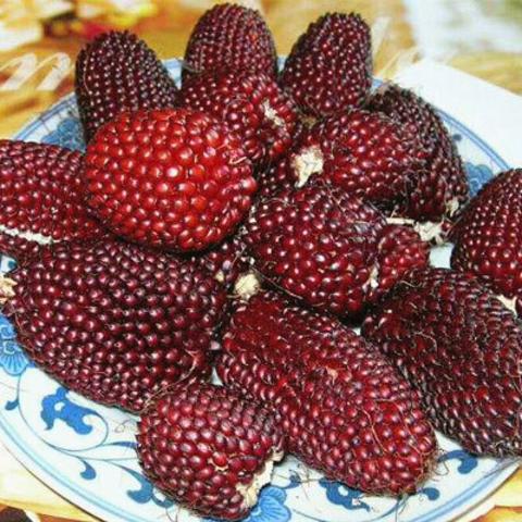水果玉米
